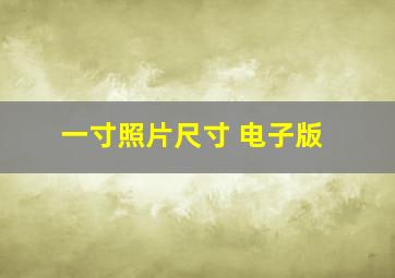 一寸照片尺寸 电子版